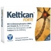 КЕЛТИКАН / KELTICAN капсулы 40 шт