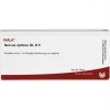 НЕРВУС ОПТИКУС / NERVUS OPTICUS GL D 5 ампули 10x1 мл