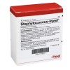 СТАФІЛОКОККУС ІНЬЄЛЬ / STAPHYLOCOCCUS INJEEL ампули 10 шт