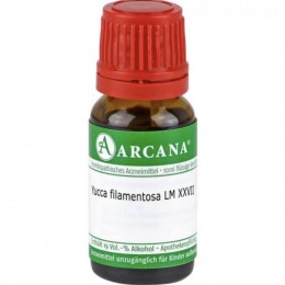 ЮКА ФІЛАМЕНТОЗА / YUCCA FILAMENTOSA LM 27 розчин 10 мл
